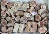 Red Petrified Wood Branches (Wholesale Flat) - Pieces #62064-4